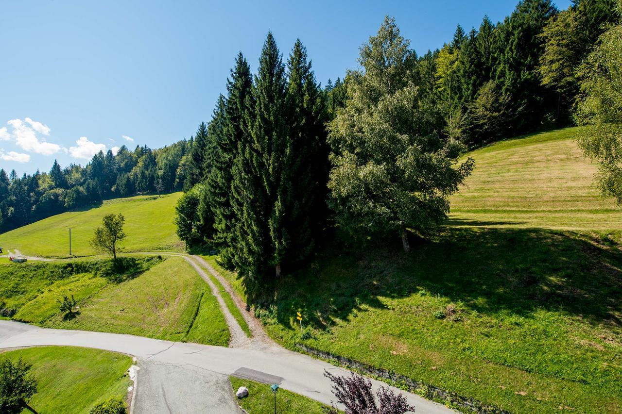 Panoramahotel Hauserhof Хермагор Екстериор снимка